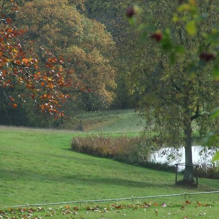 Woodlands Bed & Breakfast Barnt Green Екстер'єр фото